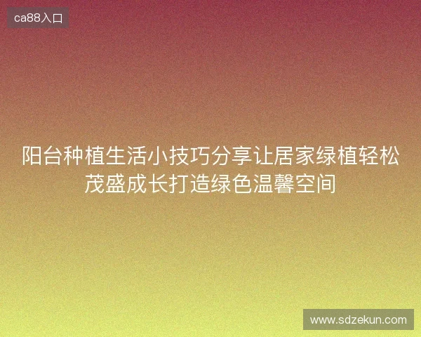 阳台种植生活小技巧分享让居家绿植轻松茂盛成长打造绿色温馨空间 阳台种植生活小技巧分享让居家绿植轻松茂盛成长打造绿色温馨空间