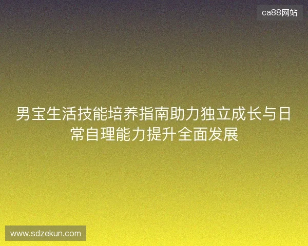 男宝生活技能培养指南助力独立成长与日常自理能力提升全面发展