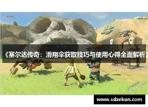 《塞尔达传奇：滑翔伞获取技巧与使用心得全面解析》