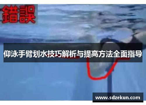 仰泳手臂划水技巧解析与提高方法全面指导