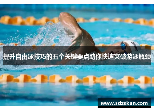 提升自由泳技巧的五个关键要点助你快速突破游泳瓶颈