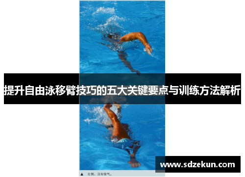 提升自由泳移臂技巧的五大关键要点与训练方法解析