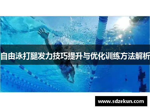 自由泳打腿发力技巧提升与优化训练方法解析