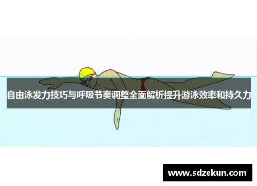 自由泳发力技巧与呼吸节奏调整全面解析提升游泳效率和持久力