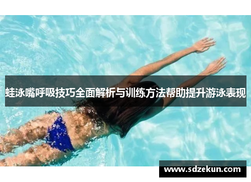 蛙泳嘴呼吸技巧全面解析与训练方法帮助提升游泳表现