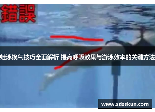 蛙泳换气技巧全面解析 提高呼吸效果与游泳效率的关键方法