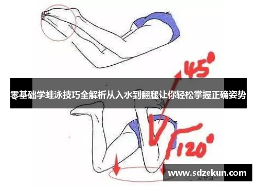 零基础学蛙泳技巧全解析从入水到翻腿让你轻松掌握正确姿势