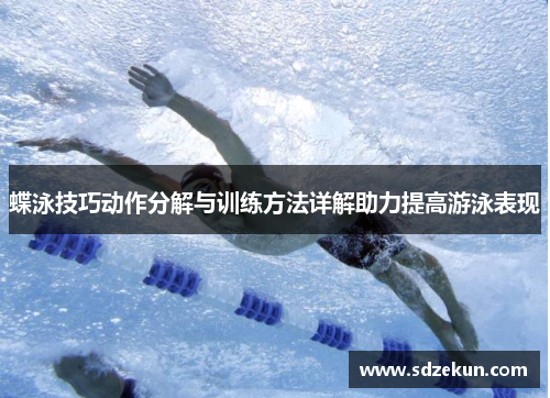 蝶泳技巧动作分解与训练方法详解助力提高游泳表现