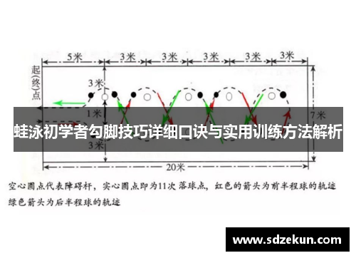 蛙泳初学者勾脚技巧详细口诀与实用训练方法解析