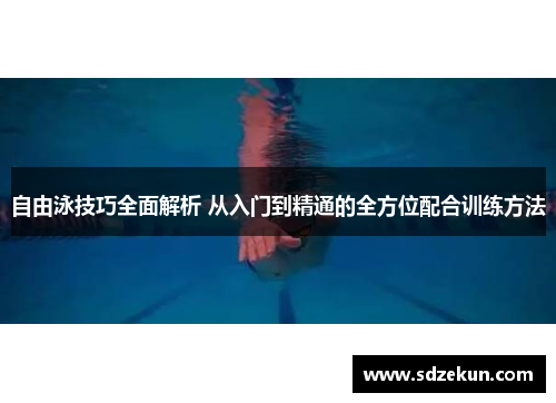 自由泳技巧全面解析 从入门到精通的全方位配合训练方法
